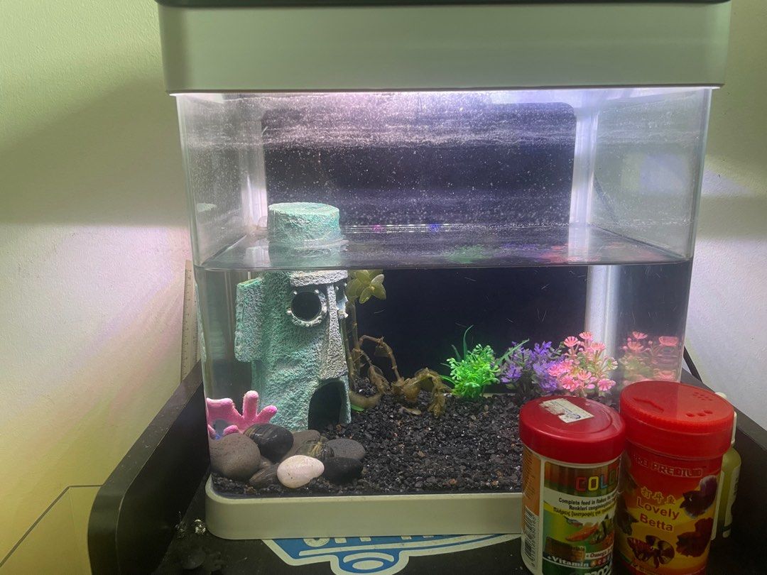Mini aquarium outlet for sale