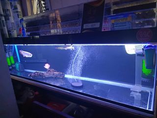 (Category: ) located in . Submitted by seanpatrick.08 (Listing ID 1266442556, Image 1). Description: .
