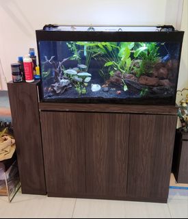 (Category: ) located in . Submitted by j4paws (Listing ID 1266440157, Image 1). Description: .