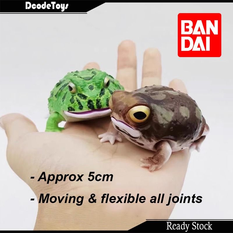 Desert rain frog plush 2025