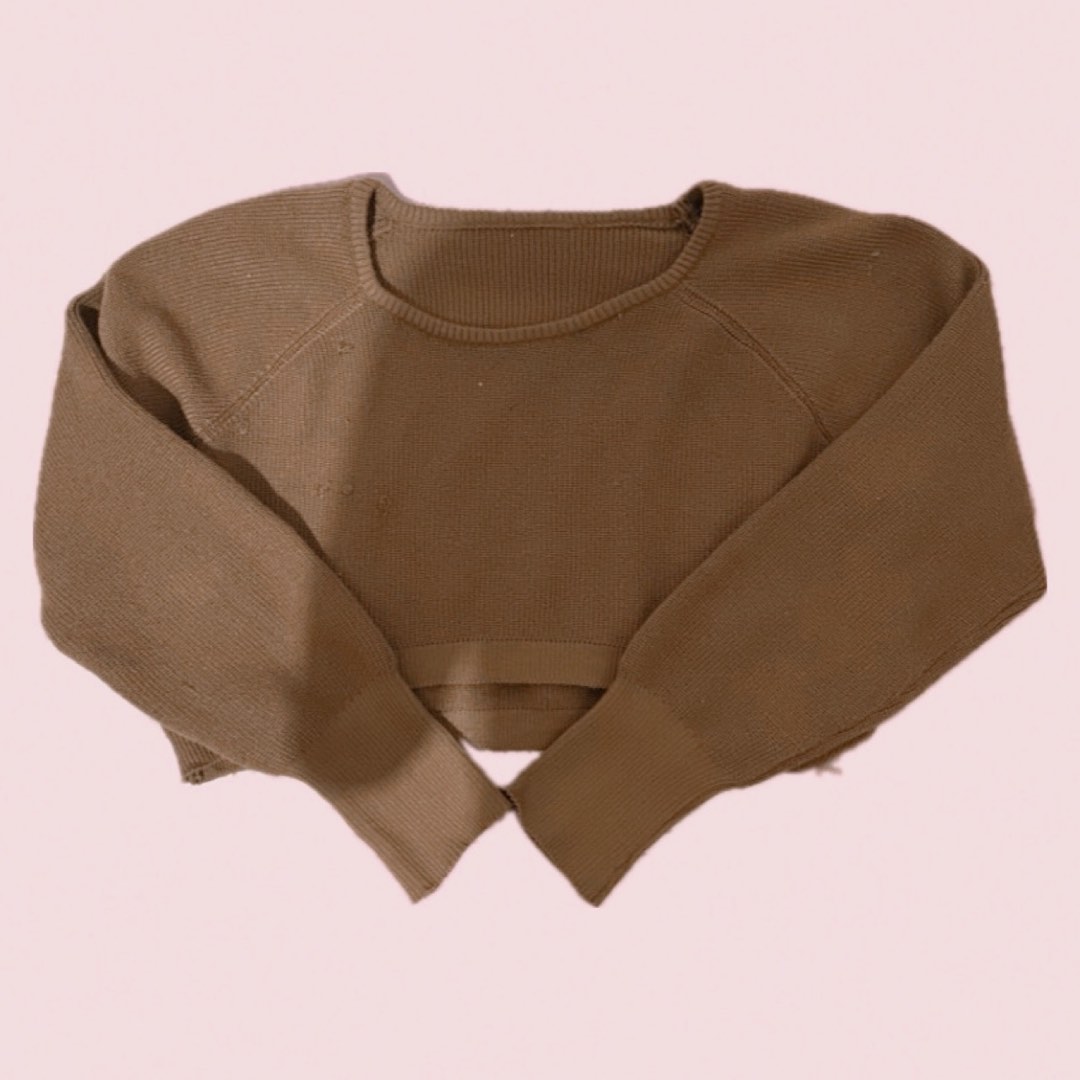 brown cropped sweater, Women's Fashion, Tops, Longsleeves on Carousell