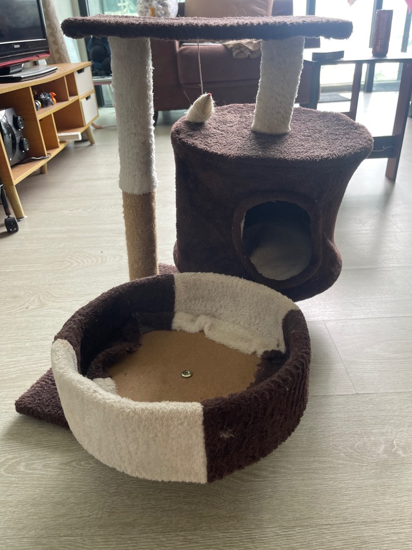 Cat tree cheap accessories