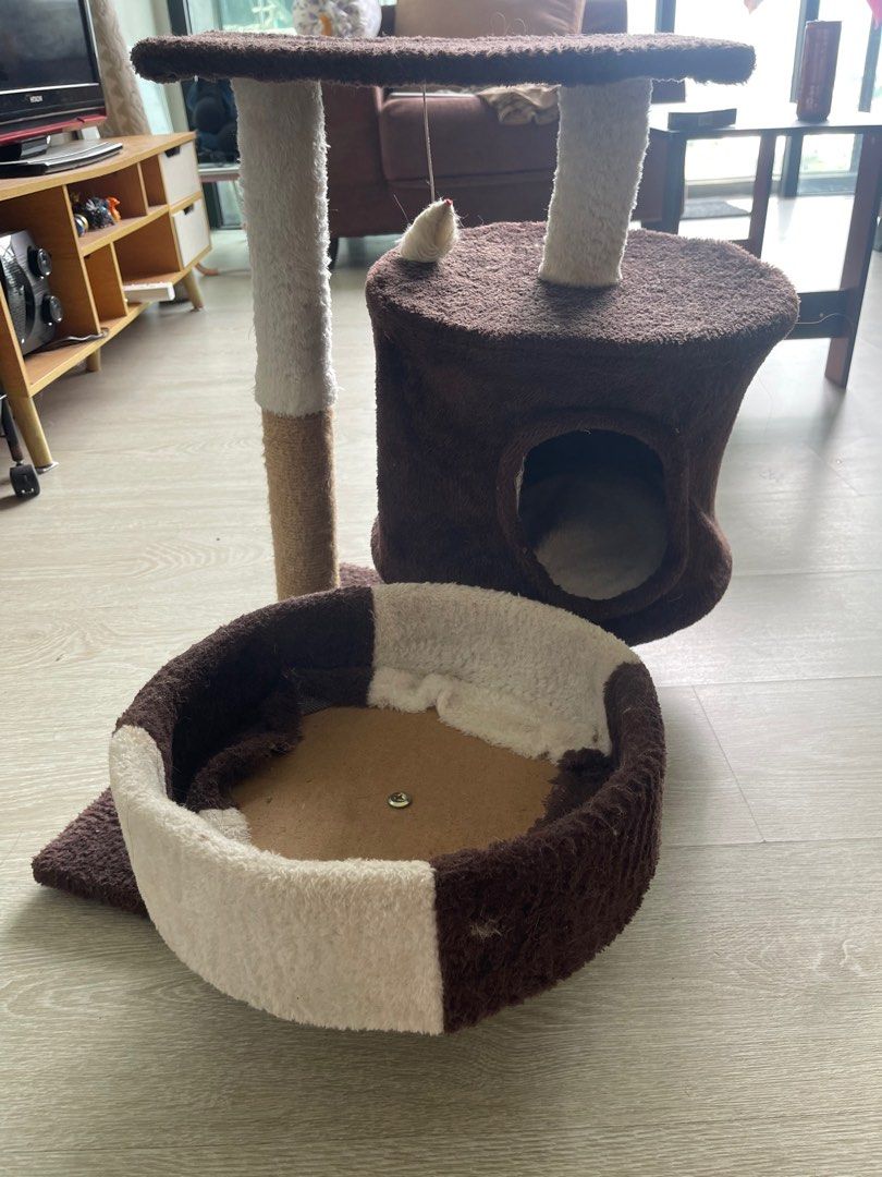 Cat best sale tree accessories