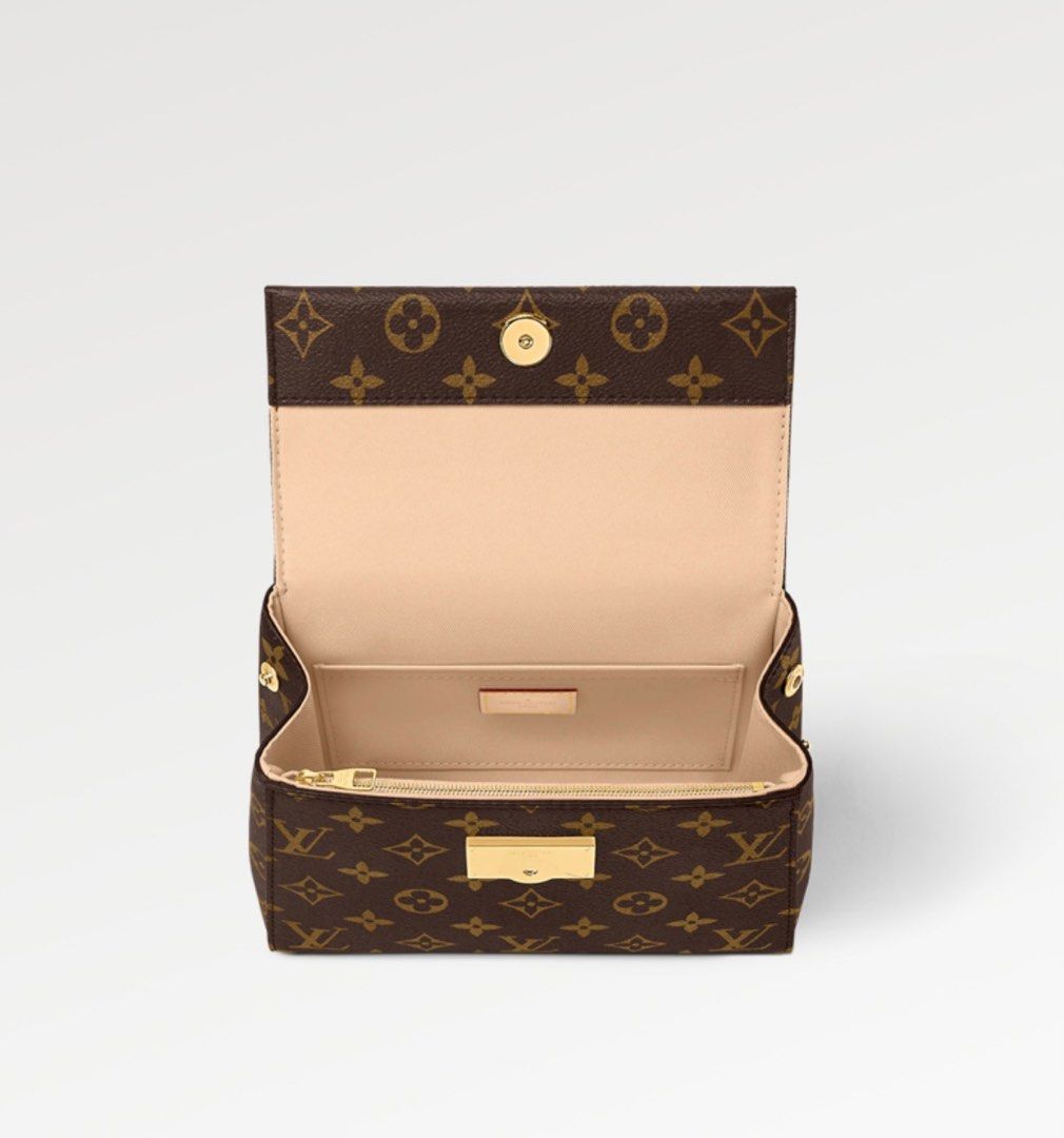 LOUIS VUITTON Cluny Mini, Luxury, Bags & Wallets on Carousell