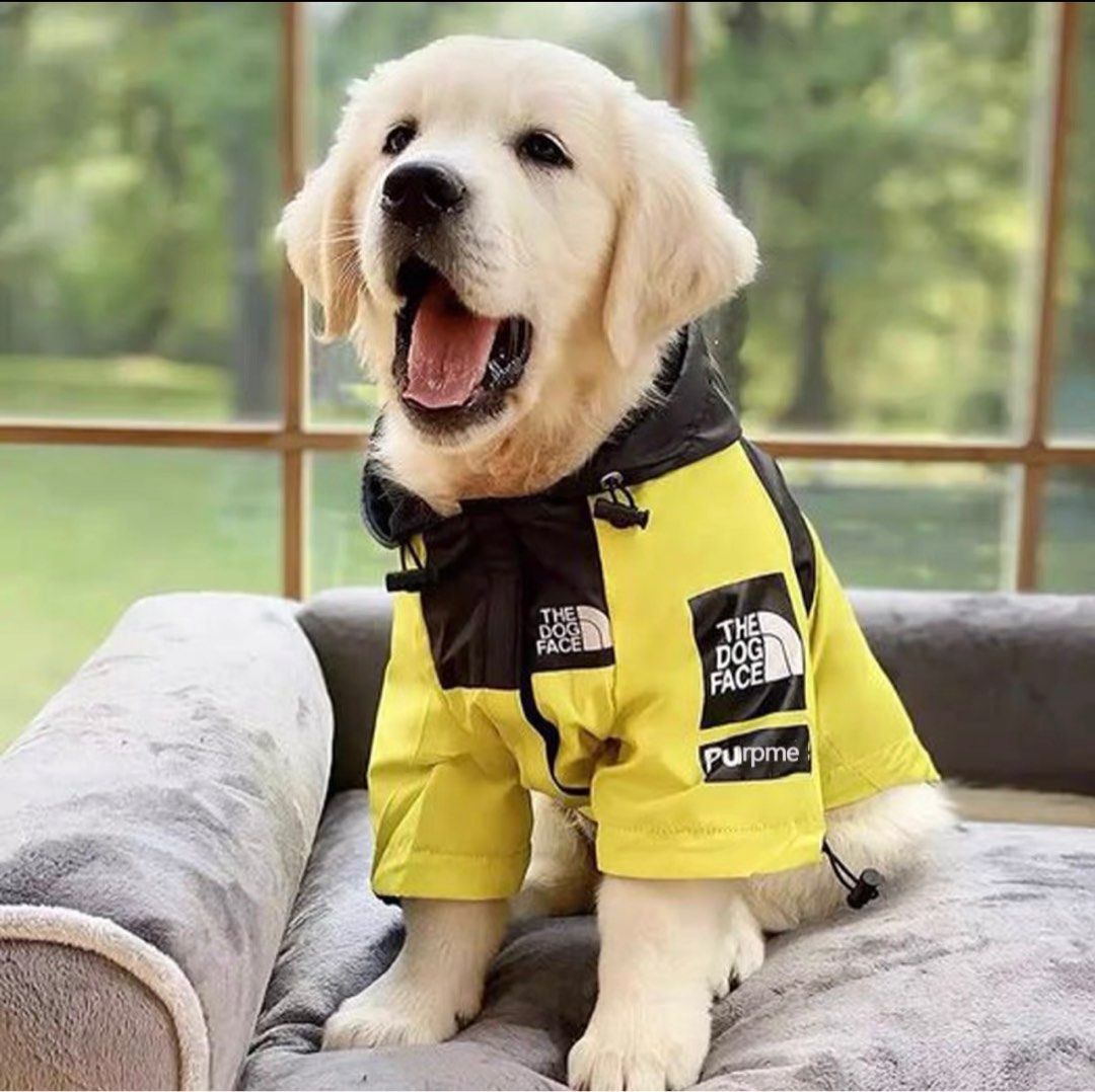 Raincoat for clearance labrador retriever