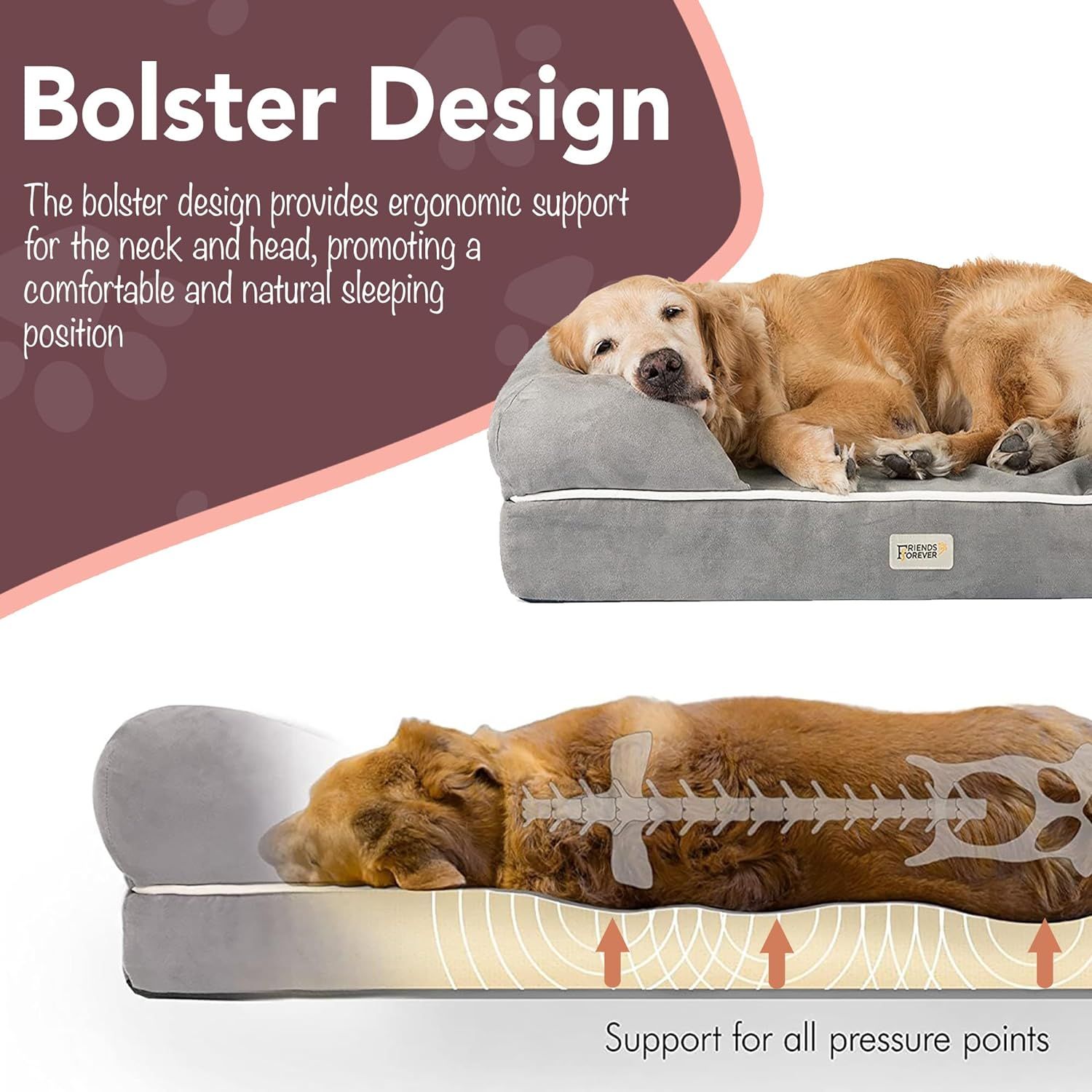 Friends forever orthopedic dog bed online