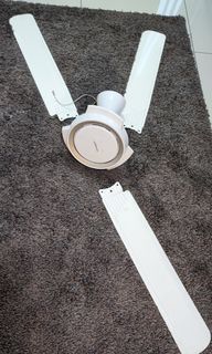 Good condition Sharp ceiling fan