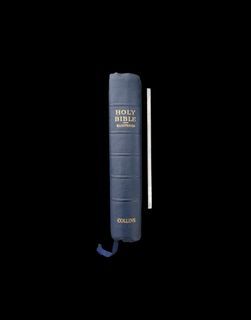 Holy Bible Illustrated (Vintage Pocket Book)