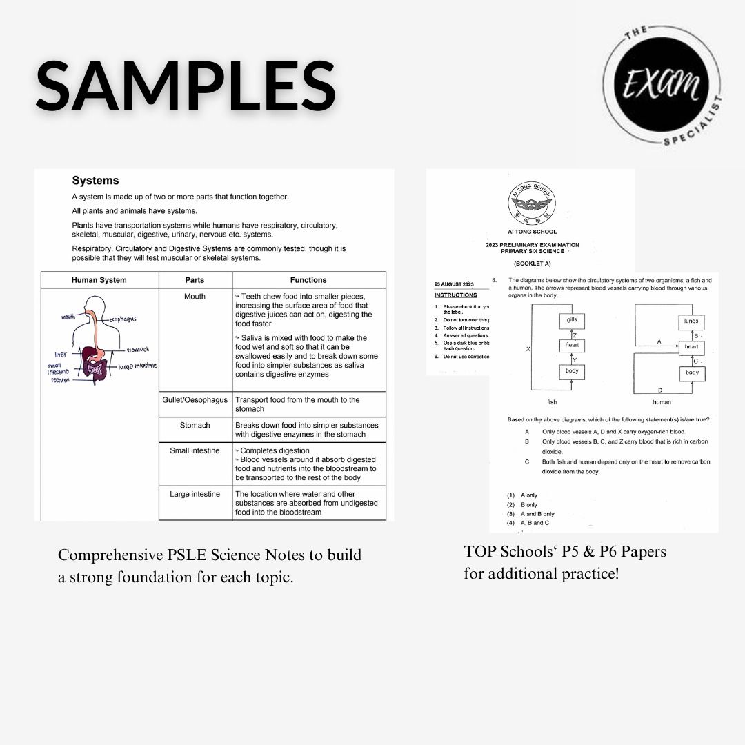 PSLE Science 2024 Preparatory Package (P5 P6 | Notes | Past Year Prelim ...