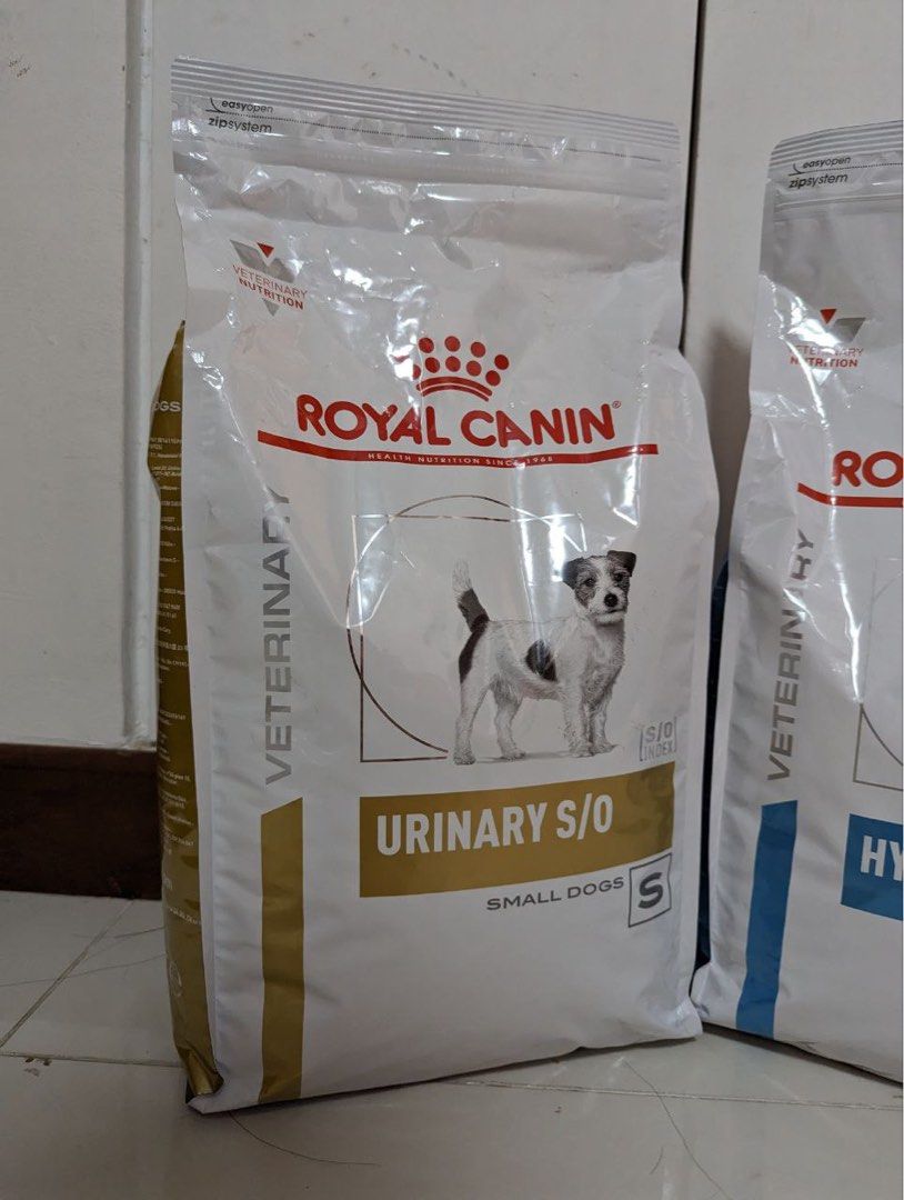 Royal Canin urinary S O small dog 4kg FREE DELIVERY Pet Supplies