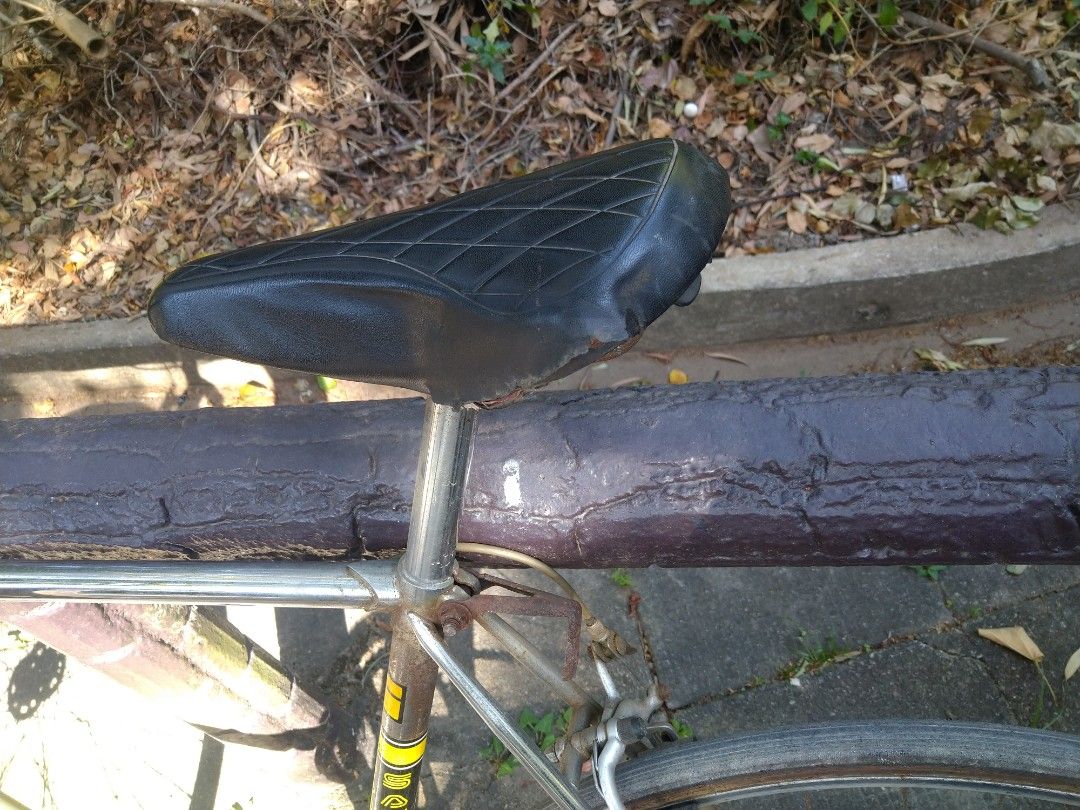 Bicicleta on sale santosa shimano