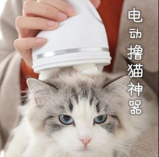 (Category: ) located in . Submitted by shenshen0821 (Listing ID 1266576735, Image 1). Description: .