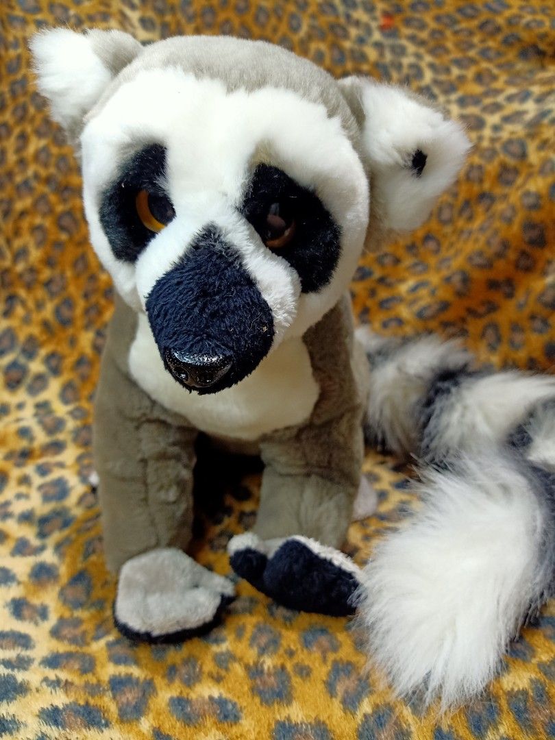 VERY BEAUTIFUL BIG SIZE REALISTIC RACCOON PLUSH TOY BY SUMA COLLECTION ...