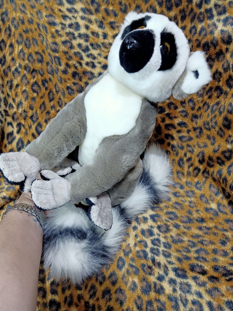 VERY BEAUTIFUL BIG SIZE REALISTIC RACCOON PLUSH TOY BY SUMA COLLECTION ...