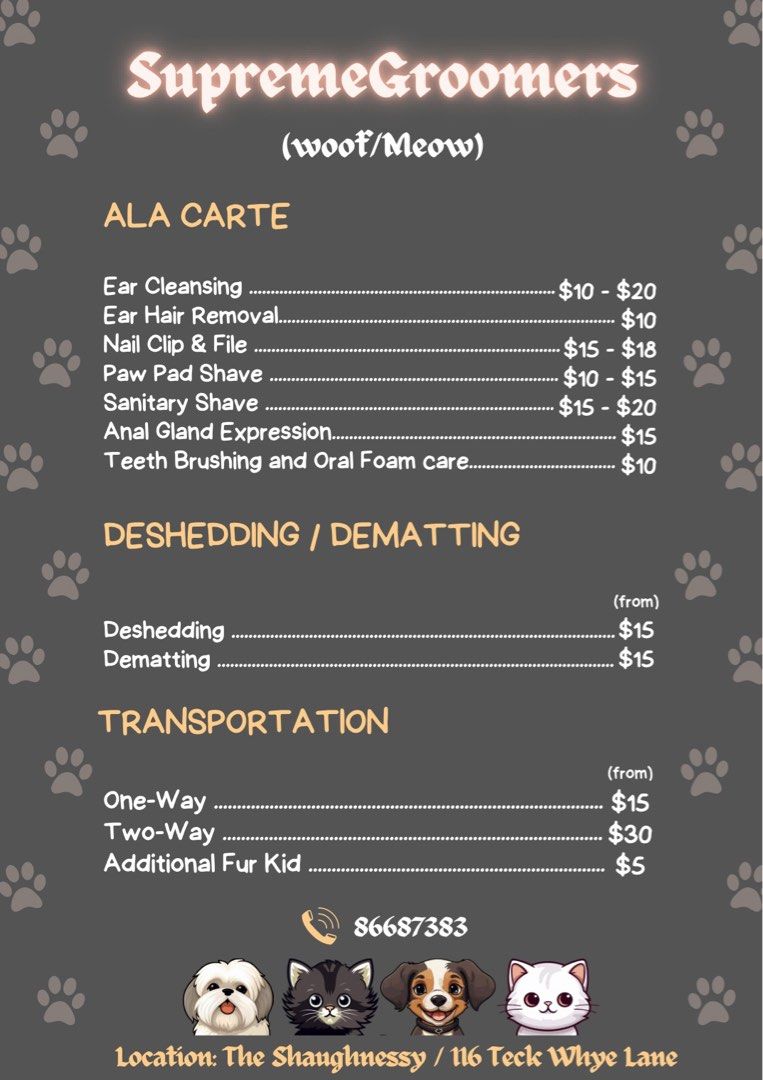 (Yishun) Cat Grooming / transport/ boarding , Lifestyle Services, Pet
