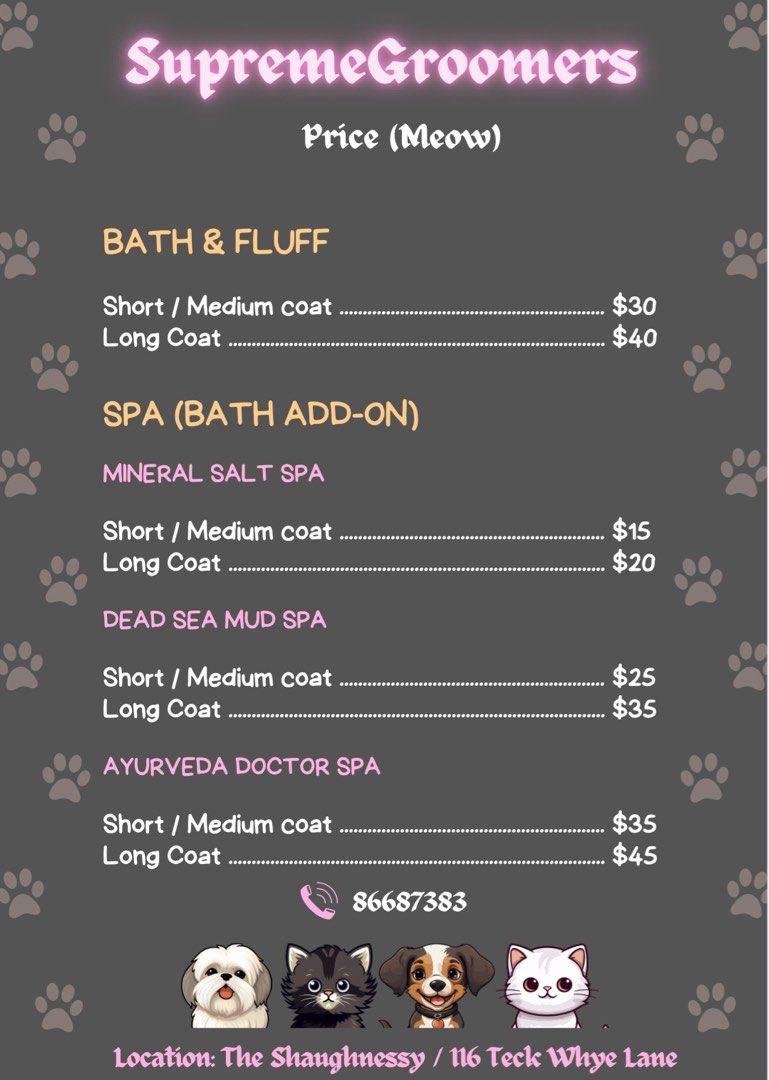 (Yishun) Cat Grooming / transport/ boarding , Lifestyle Services, Pet Care Services on Carousell