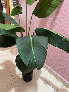 Banana Tree Artificial Plants