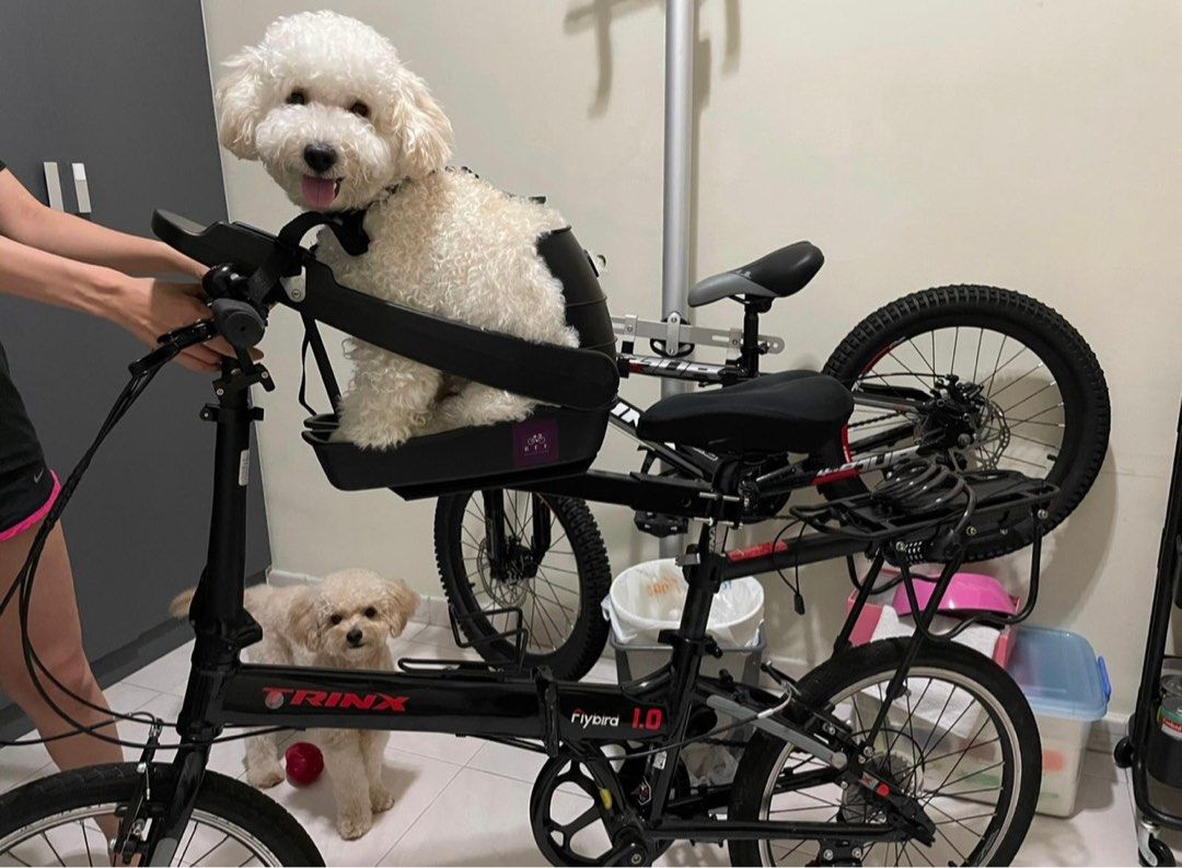 Buddy Rider (Dog Bicycle Seat), Sports Equipment, Bicycles & Parts