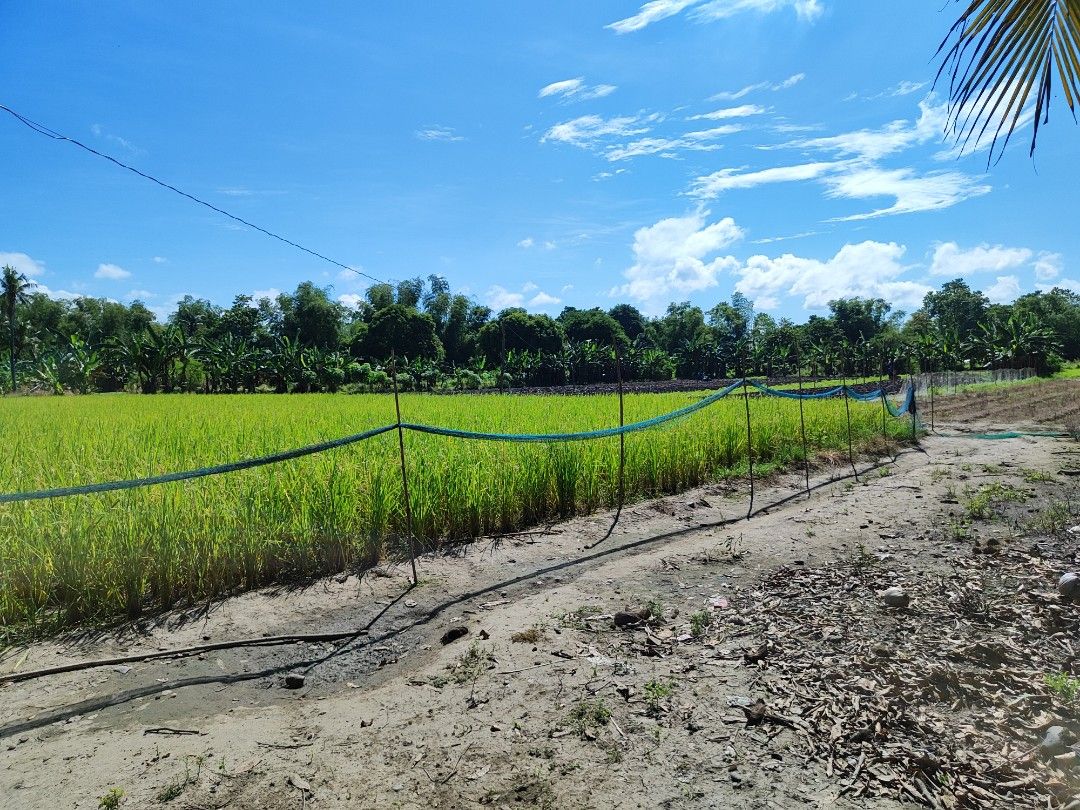 Lot for sale in Labangan San Jose occidental Mindoro near Robinsons