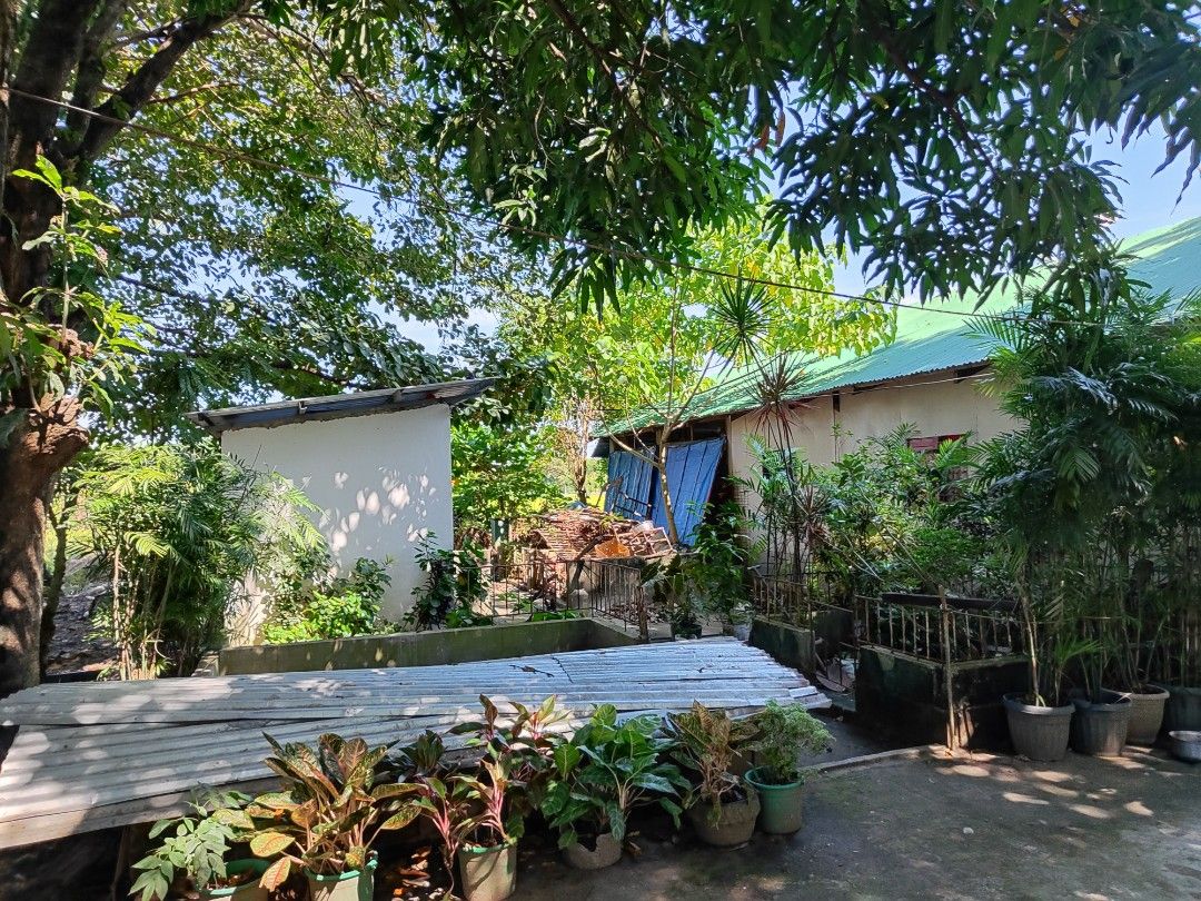 Lot for sale in Labangan San Jose occidental Mindoro near Robinsons