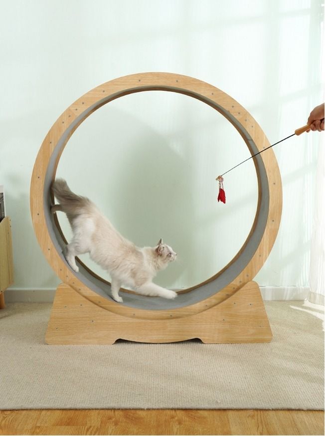 Cat tower with exercise wheel 2025