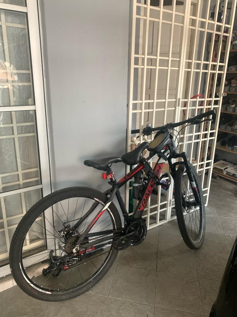 mtb raleigh raptor