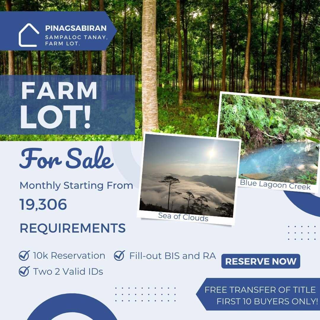 Sampaloc Tanay Rizal FarmLot with Sea of clouds, Property, For Sale