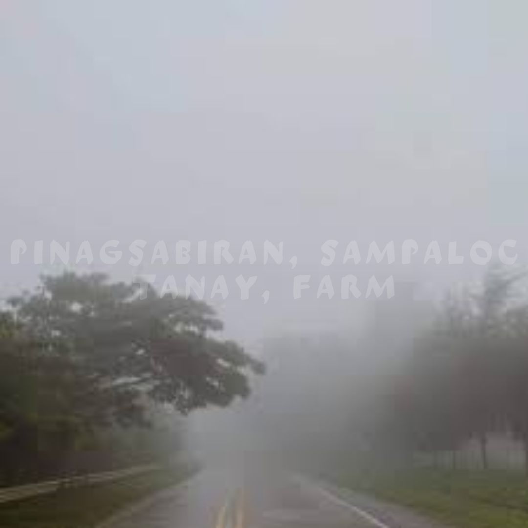 Sampaloc Tanay Rizal FarmLot with Sea of clouds, Property, For Sale