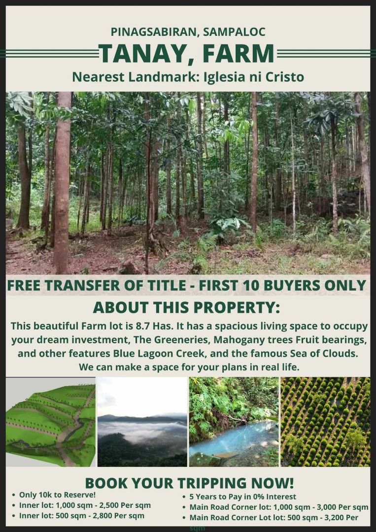 Sampaloc Tanay Rizal FarmLot with Sea of clouds, Property, For Sale