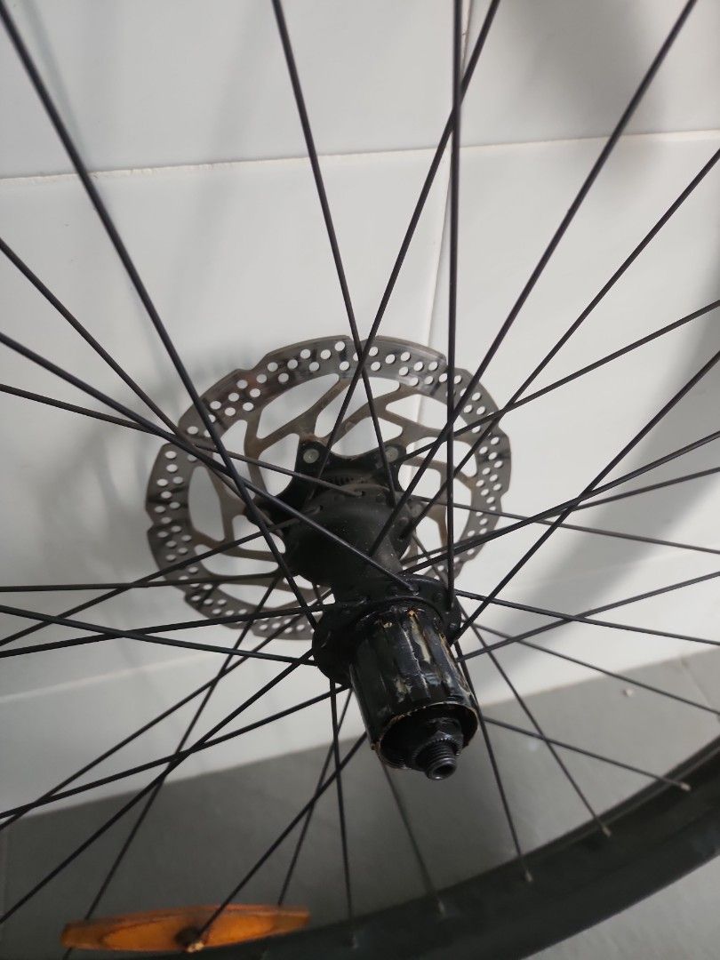 Thickslick 29er online