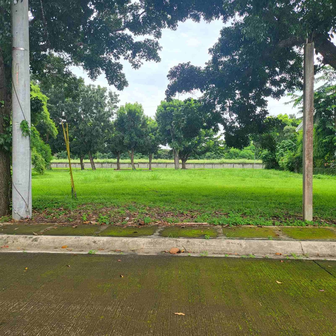 Vacant Lot For Sale in Manila Southwoods Carmona Cavite Near Southwoods