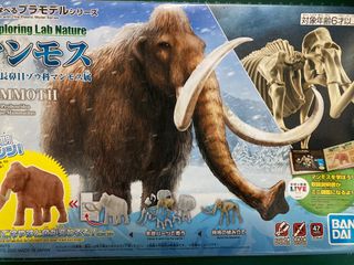 （分類：）位於 。 由 sagacity04 提交（商品編號 1266769668，圖片 1）。簡介： 。