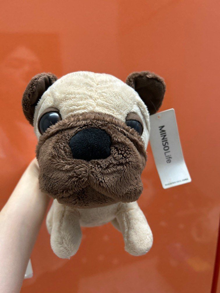 Miniso pug on sale
