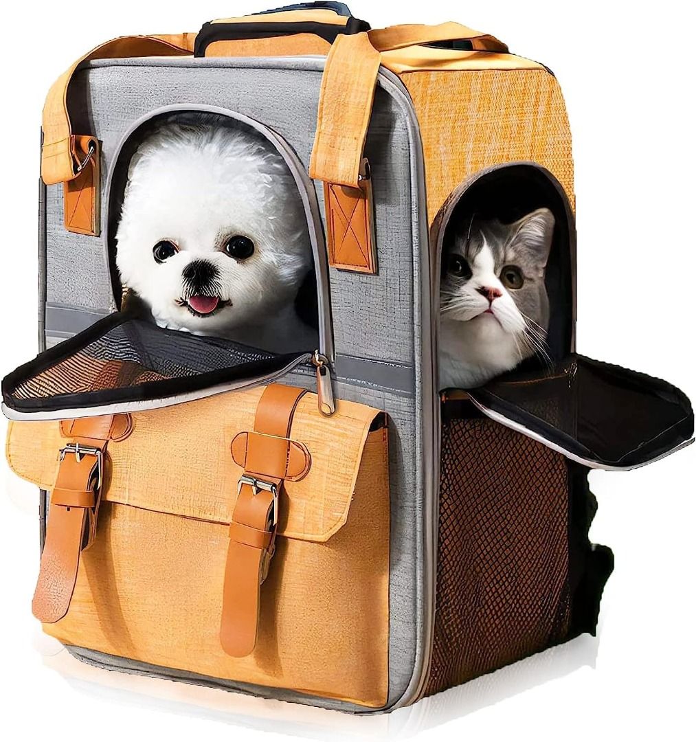 Cat cheap book bag