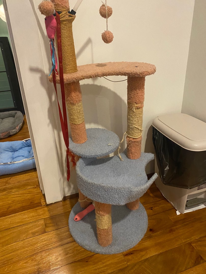 Cat tower, Pet Supplies, Homes & Other Pet Accessories on Carousell