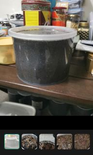 (Category: ) located in . Submitted by email2jacky (Listing ID 1266765966, Image 1). Description: .