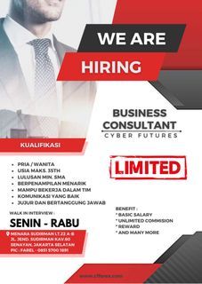Consultant Business