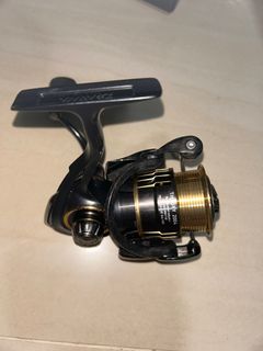 Daiwa Theory 2004 Spinning Reel, Sports Equipment, Fishing on