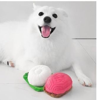 Furball dogs 2025