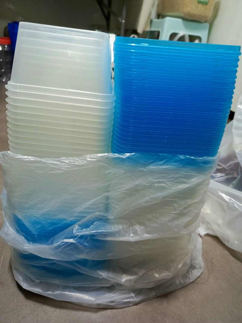 Grindal Worms ( Betta Fish Food ), Pet Supplies, Pet Food on Carousell