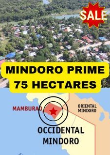 LOT FOR SALE IN MINDORO ( 75 HECTARES ) 