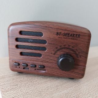 Bluetooth Radio Speaker