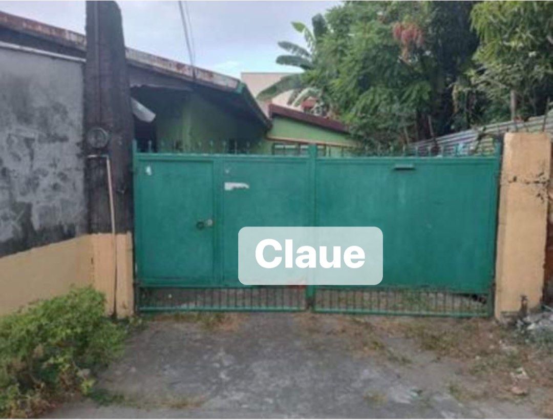 NOVALICHES HOUSE & LOT FOR SALE, Property, For Sale, House & Lot on
