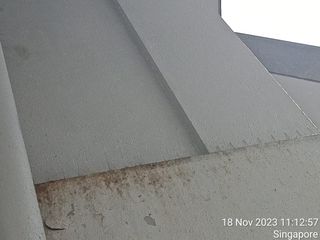 (Category: ) located in . Submitted by birdmanagementsingapore (Listing ID 1266634481, Image 1). Description: .