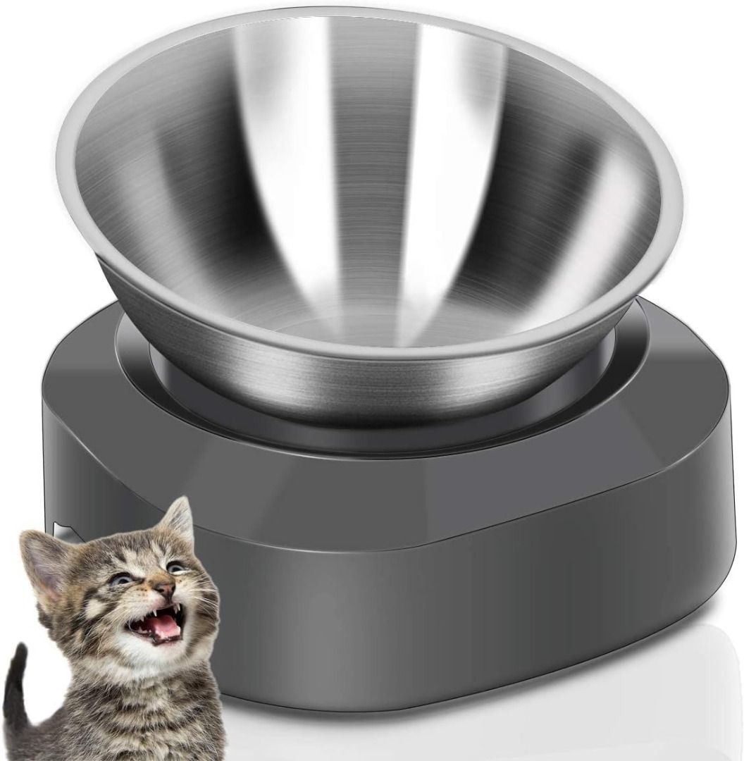 Elevated cat 2025 bowl stand
