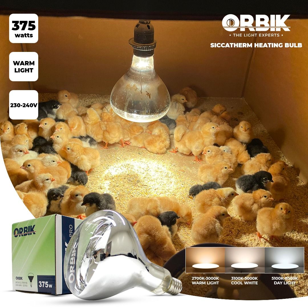 Siccatherm Bulb 375w | Orbik, Furniture & Home Living, Lighting & Fans ...