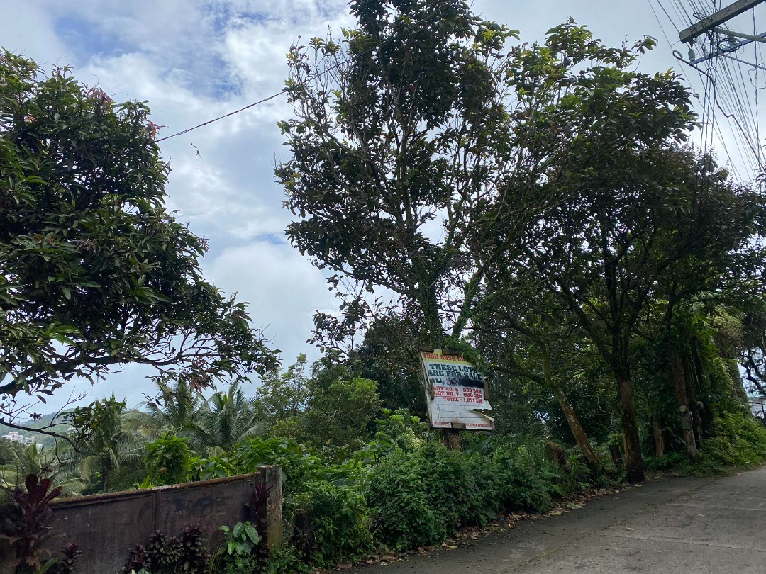 VACANT LOT FOR SALE IN MARY RIDGE TAGAYTAY CITY 1,871SQM, Property, For ...