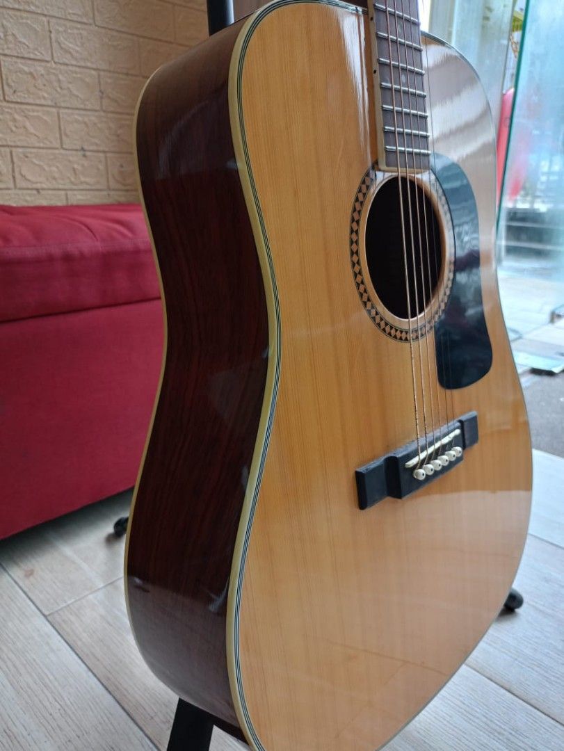 Washburn d10s on sale for sale