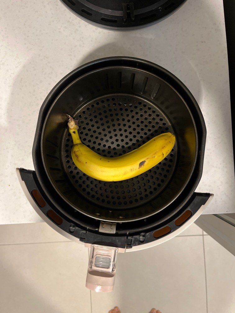 WOLL Air Fryer Large Size, TV & Home Appliances, Kitchen Appliances, Other Kitchen Appliances