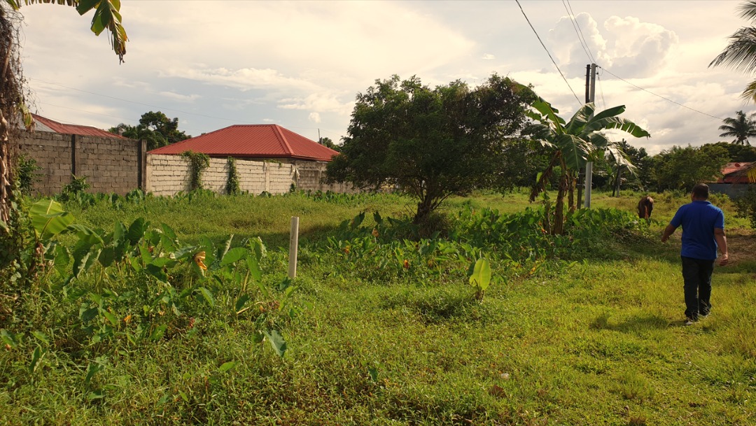180sqm Residential Lot for sale in Bacolod City, Property, For Sale